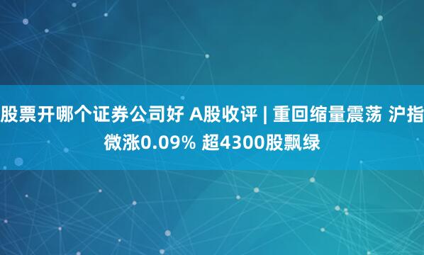 股票开哪个证券公司好 A股收评 | 重回缩量震荡 沪指微涨0.09% 超4300股飘绿