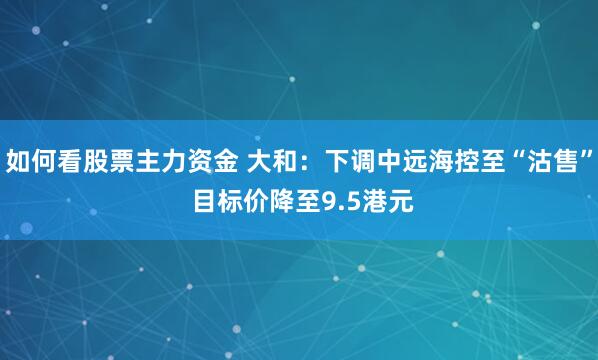 如何看股票主力资金 大和：下调中远海控至“沽售” 目标价降至9.5港元