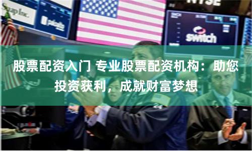 股票配资入门 专业股票配资机构：助您投资获利，成就财富梦想
