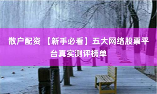 散户配资 【新手必看】五大网络股票平台真实测评榜单