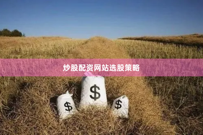 炒股配资网站选股策略